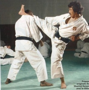 sensei-geri